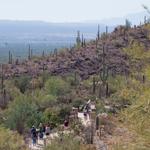 Hikers on the trail